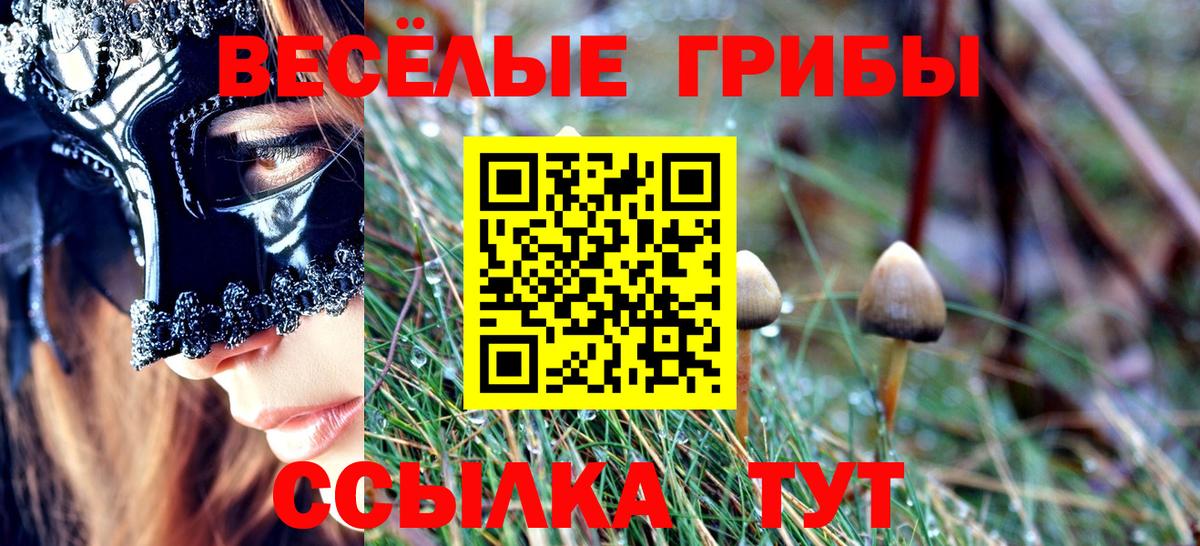Галлюциногенные грибы Cubensis  Вход с VPN  Лесной 